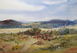 Pat Yallup Watercolour drawing Moorland scene with foxgloves and wild flowers, mountains in