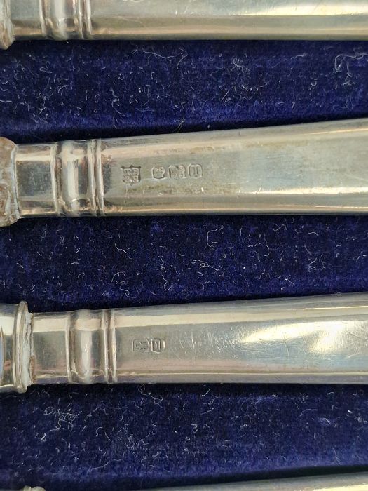 Pair of late Victorian silver berry spoons, Birmingham 1900, O&S, in fitted case, a set of six cased - Image 4 of 5