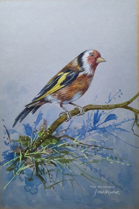 Jesse Hayden Watercolours Portraits of birds - wheatear, lesser spotted woodpecker, linnet, - Image 2 of 13