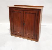 Late 19th/early 20th century mahogany two-door cupboard with panelled doors enclosing shelves, on