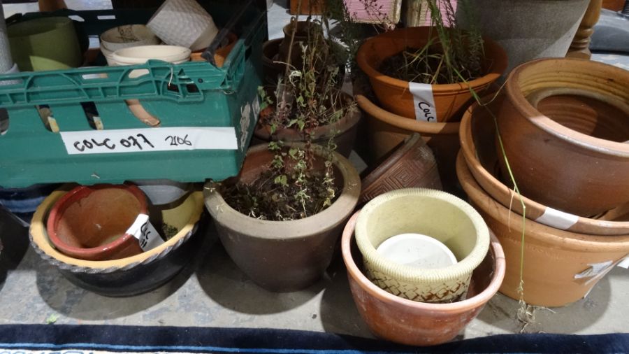 Large collection of terracotta and stoneware plant pots