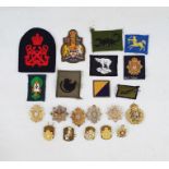 Collection of modern military cap badges, rank markings and cloth badges.  Together with five