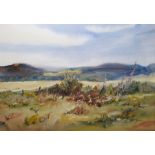 ******** WITHDRAWN ********** Pat Yallup Watercolour drawing Moorland scene with foxgloves and