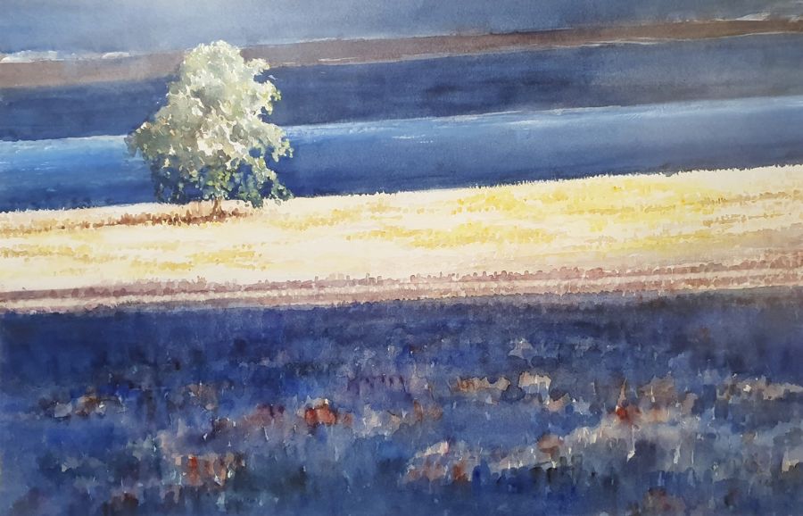 ******** WITHDRAWN ********** Pat Yallup Watercolour drawing Moorland scene with foxgloves and - Bild 2 aus 7