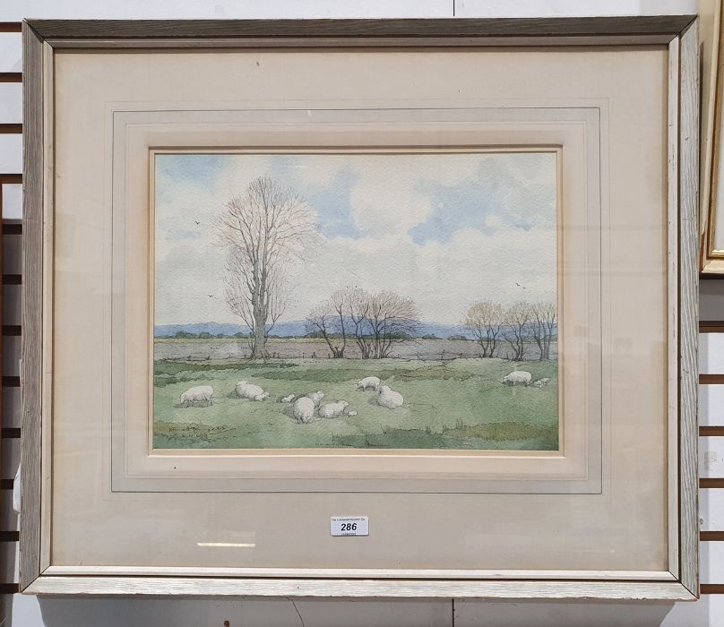 Kenneth Pengelly (20th century) Watercolour drawing Lambing Time, Romney Marsh, signed and dated - Bild 3 aus 3