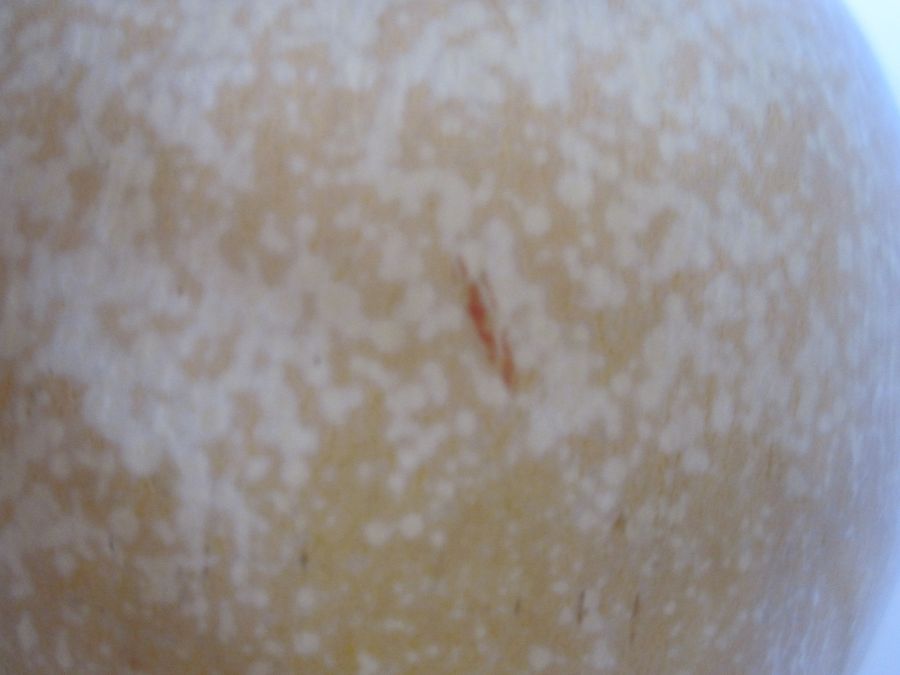 Hazel Johnston (1933 - 2011) a small studio porcelain vase with yellow speckled glaze, impressed - Image 4 of 4