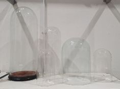 Tall glass display dome with wooden base and four further glass domes of varying sizes (5)