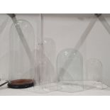 Tall glass display dome with wooden base and four further glass domes of varying sizes (5)