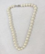 String of modern pearls on white metal clasp