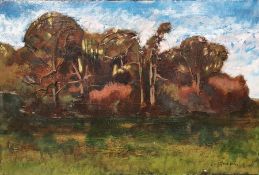 I Guillon(?)  Oil on board Landscape wooded study, indistinctly signed lower right, 30cm x 46cm