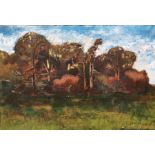 I Guillon(?)  Oil on board Landscape wooded study, indistinctly signed lower right, 30cm x 46cm