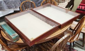 Two glazed display cabinets, 83cm x 55cm x 9cm (2)