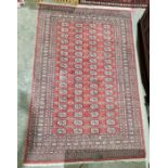 Eastern style red rug with four rows of seventeen elephant foot guls with multiple geometric borders