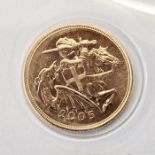 Gold sovereign 2005, brilliant uncirculated