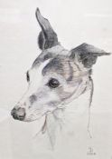Winkle Pencil drawing Studies of a whippet, indistinct signature, dated 20th May 71 Pencil