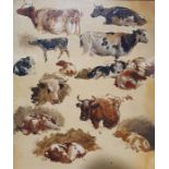 Robert Hills (1769-1844) Oil on canvas Studies of cows, unsigned, Albany Gallery, London label