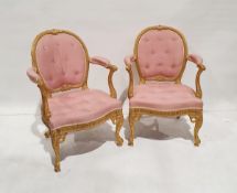 Pair of 19th century Adam-style gilt salon chairs, with foliate scroll and guilloche floral button