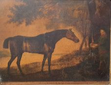 After George Stubbs (1724-1806) Coloured mezzotint engraving “Sharke” engraved by George Townly