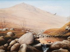 David J Lawrence (Contemporary)  Oil on canvas "Moorland Splendour - The River Tavy", signed lower