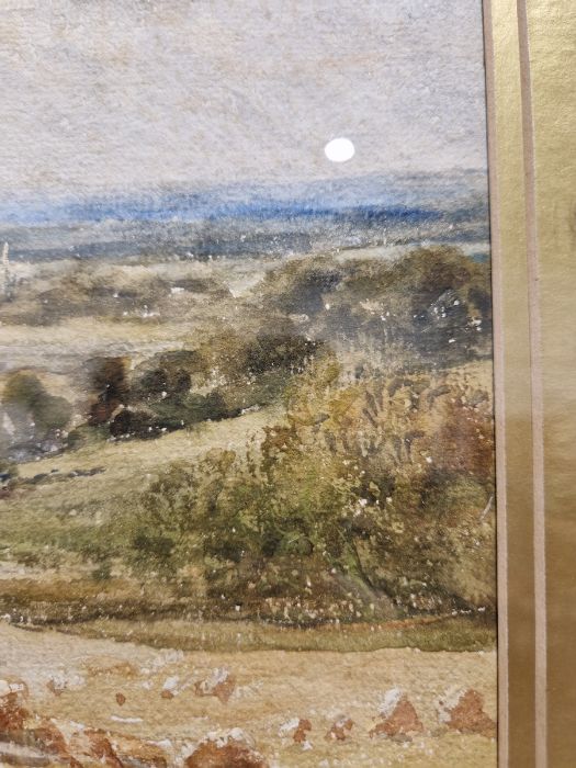 Henry J Kinnaird (1861-1929)  Watercolour  "A Sussex Cornfield", signed lower right, titled lower - Image 19 of 20