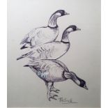 Peter Scott (1909-1989) Pen, ink and wash Study of three geese heightened with white, signed lower