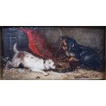 Unattributed 19th century  Oil on panel Miniature painting of two dogs, unsigned, framed, 5.5cm x