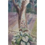 Osmond Caine (British b.1914) Watercolour 'Foxglove 2', signed and dated '49 lower right, framed and