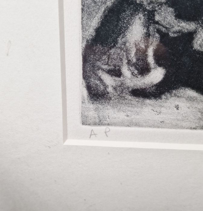 Chris Salmon (Dublin, b.1960) Etching and aquatint Figure in archway with cats, artists proof, - Image 3 of 4