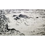 D J Robertson (20th Century) Drypoint etching Salmon leaping up a waterfall, signed lower right,