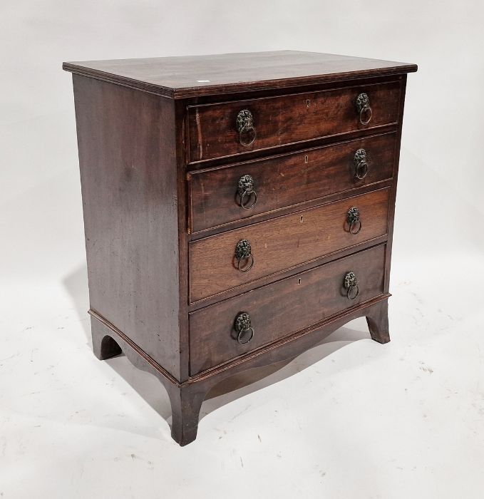 19th century mahogany chest of four long drawers with brass lion hoop handles, on splayed