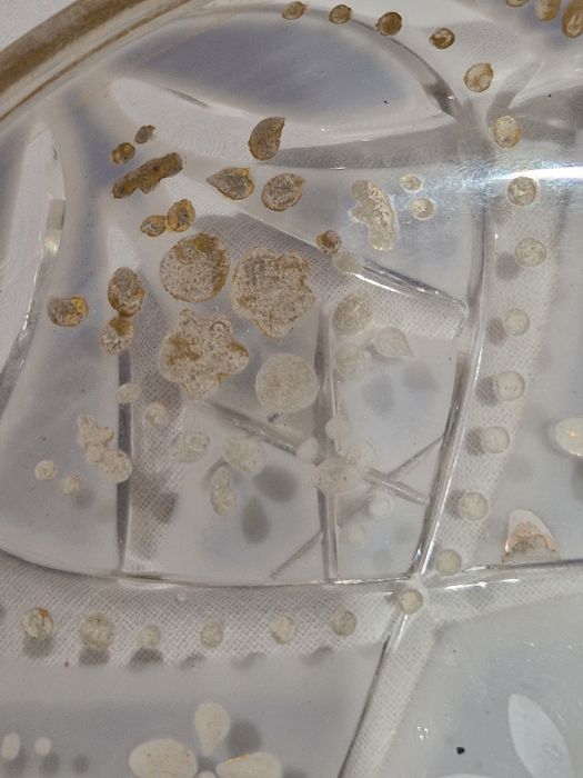 Pair of Bohemian overlay blue and gilt glass beakers on stands, with Arabic script Condition - Image 28 of 30