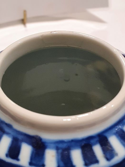 Two Chinese blue and white prunus decorated lidded ginger jars, each with double-ring mark to base - Image 22 of 22