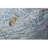 Robert Bateman A winter snowy scene with a rabbit hiding in the undergrowth Limited edition print,