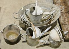 Various galvanised metal watering cans, a bucket and large wash basins