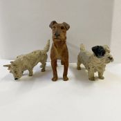 Austrian cold painted bronze models of dogs:- a standard Airedale, 9cm high, a West Highland