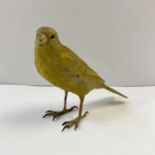 Austrian cold painted model of a canary, 8.5cm high approx. (some loss of paint to the beak)