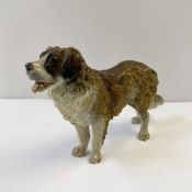 Austrian cold painted bronze model of a St. Bernard dog, 8cm high x 13cm long