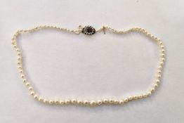 Graduated pearl necklace set with gold-coloured clasp, seed pearl and garnet
