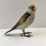 Austrian cold painted model of a jay, 9cm high approx.