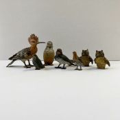 Austrian cold painted bronzes models of birds:- a Kookaburra, 4.75cm high, a kingfisher, 3.75cm