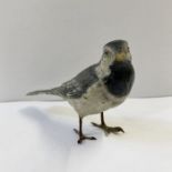 Austrian cold painted model of a wagtail, no.15/9 mark under the tail, 7.5cm high