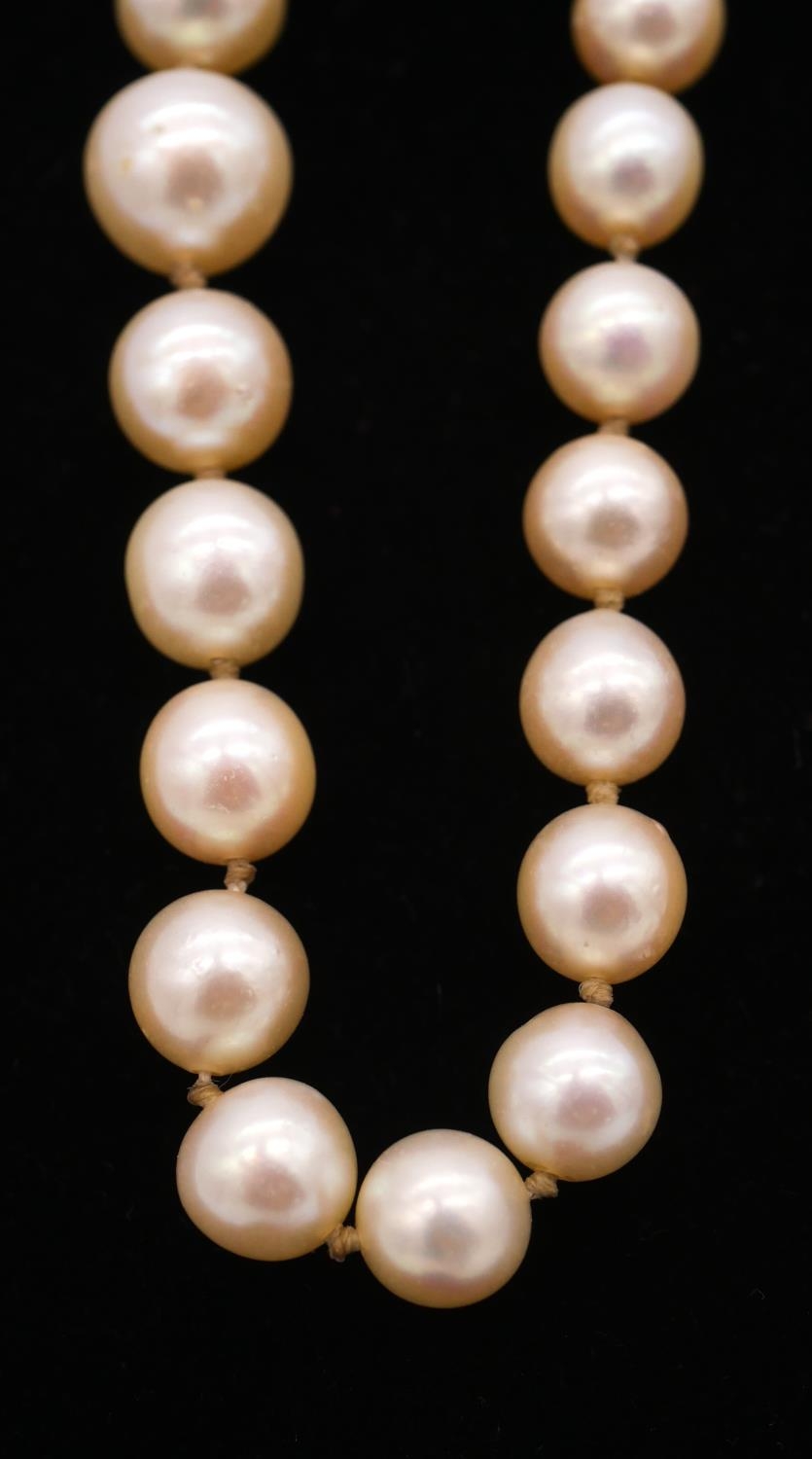 A 22 inch knotted graduated cultured pearl necklace with 9 carat yellow gold and dyed agate clasp. - Image 5 of 6