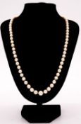A 22 inch knotted graduated cultured pearl necklace with 9 carat yellow gold and dyed agate clasp.