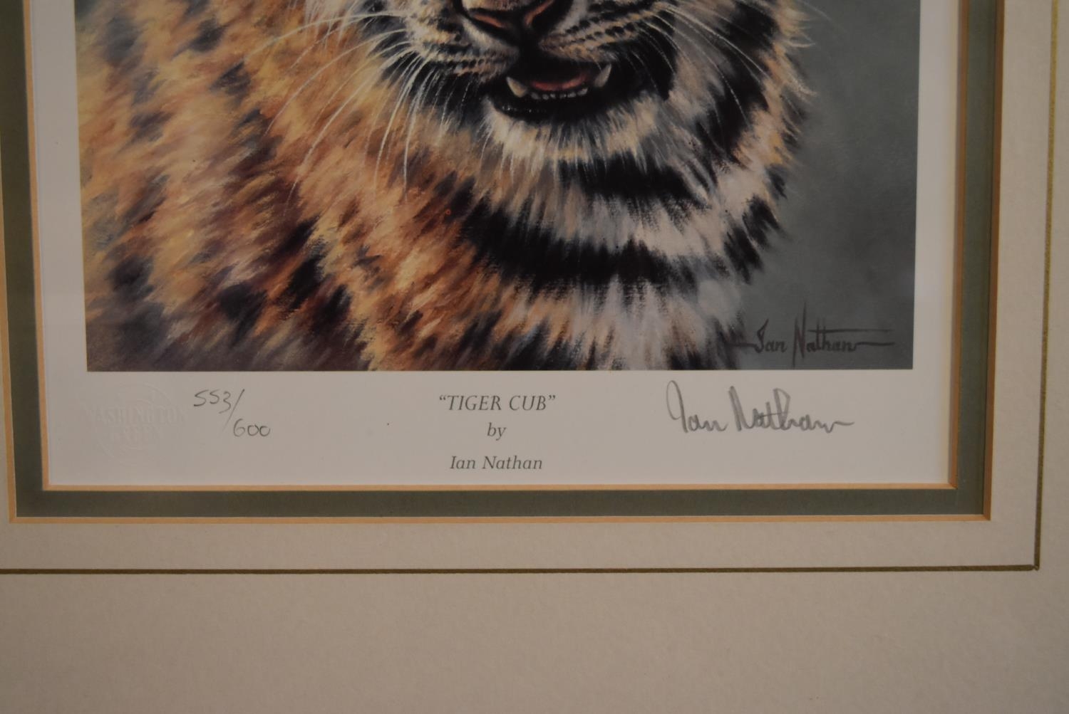 A set of four framed and glazed limited edition Ian Nathan prints, big cat portraits, signed and - Image 3 of 12