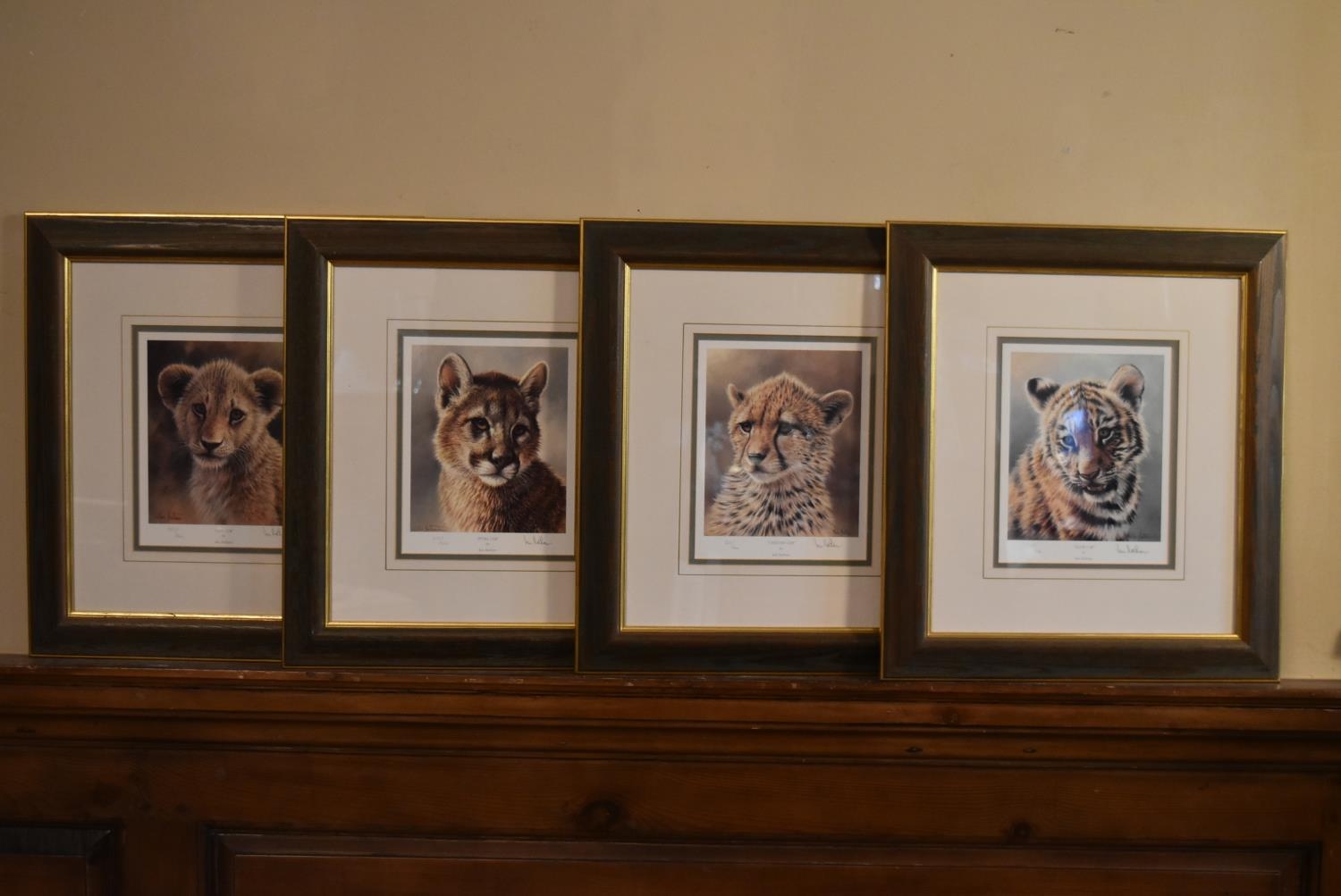 A set of four framed and glazed limited edition Ian Nathan prints, big cat portraits, signed and