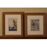 Arthur Rackham- Two framed and glazed early 20th century colour illustration plates from Alice's