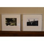 A pair of framed and glazed photographs