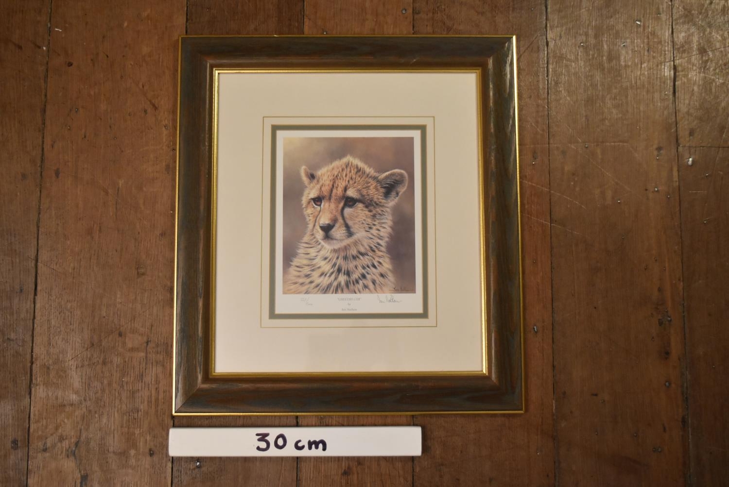 A set of four framed and glazed limited edition Ian Nathan prints, big cat portraits, signed and - Image 10 of 12