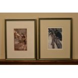 Arthur Rackham- Two framed and glazed early 20th century colour illustration plates from Peter Pan