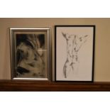 A framed print on glass and a print of a male torso. H.54 W.37cm (2)